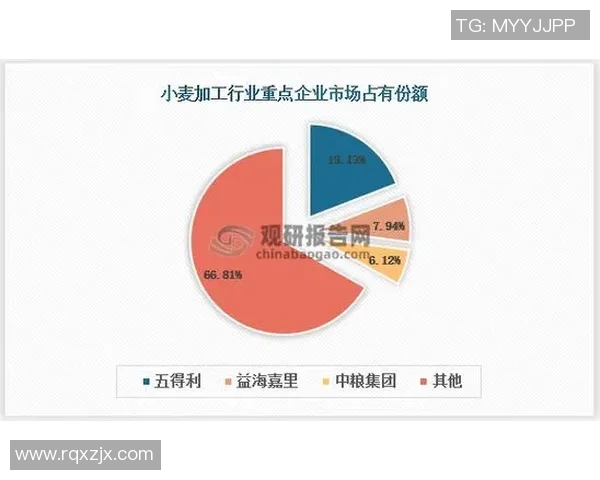 倪永康的政治生涯与影响力分析及其在中国现代史上的重要地位探讨